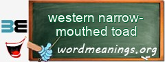 WordMeaning blackboard for western narrow-mouthed toad